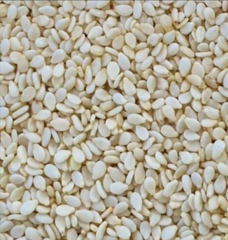 Whitish Humera